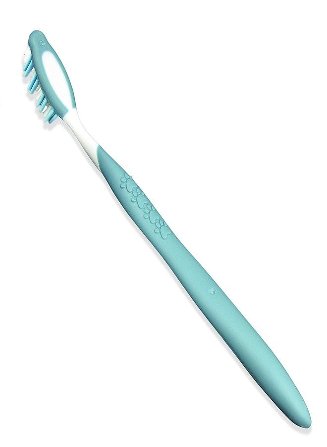 Nylabone Advanced Oral Care Senior Dog Dental Kit Small Dog - Image 4
